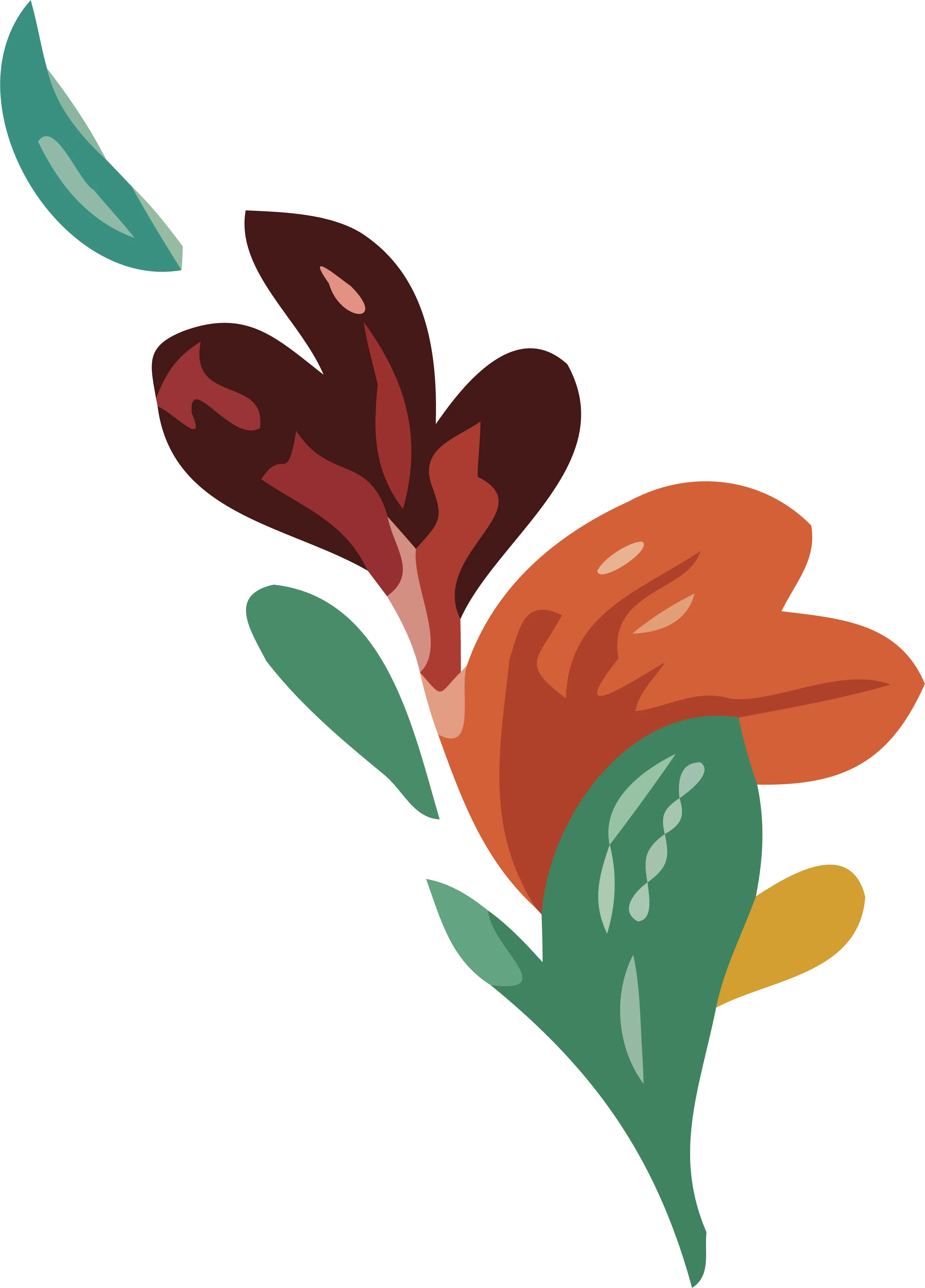 Flora de la región
